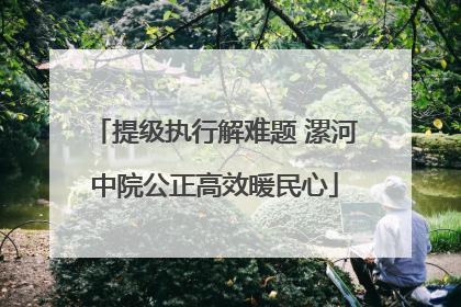 提级执行解难题 漯河中院公正高效暖民心