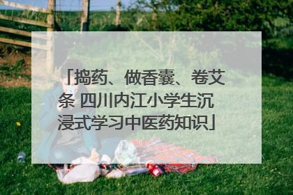 捣药、做香囊、卷艾条 四川内江小学生沉浸式学习中医药知识