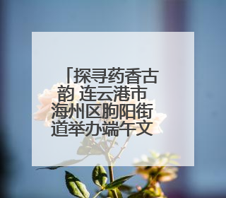 探寻药香古韵 连云港市海州区朐阳街道举办端午文化传承活动