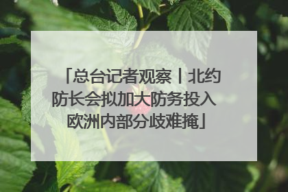 总台记者观察丨北约防长会拟加大防务投入 欧洲内部分歧难掩
