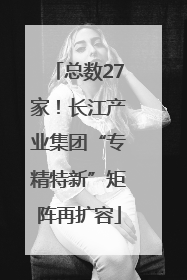 总数27家！长江产业集团“专精特新”矩阵再扩容