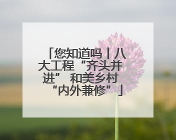 您知道吗丨八大工程“齐头并进” 和美乡村“内外兼修”