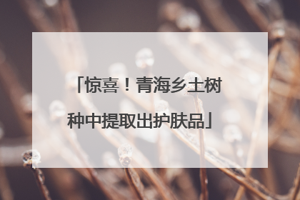 惊喜！青海乡土树种中提取出护肤品