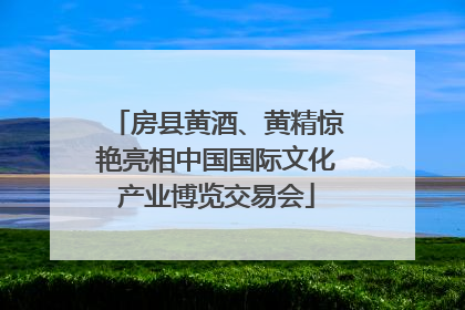 房县黄酒、黄精惊艳亮相中国国际文化产业博览交易会