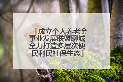 成立个人养老金事业发展联盟聊城全力打造多层次便民利民社保生态