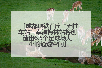 成都地铁首座“无柱车站”幸福梅林站将创造出6.5个足球场大小的通透空间
