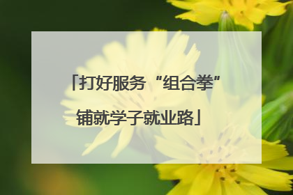 打好服务“组合拳” 铺就学子就业路