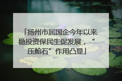 扬州市属国企今年以来稳投资保民生促发展，“压舱石”作用凸显