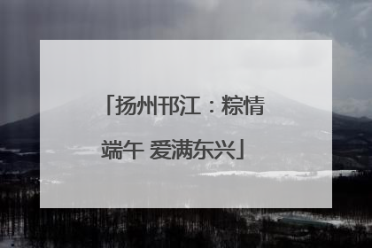 扬州邗江：粽情端午 爱满东兴