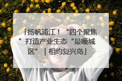 扬帆浦江！“四个聚焦”打造产业生态“最暖城区”｜相约复兴岛