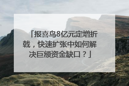 报喜鸟8亿元定增折戟，快速扩张中如何解决巨额资金缺口？
