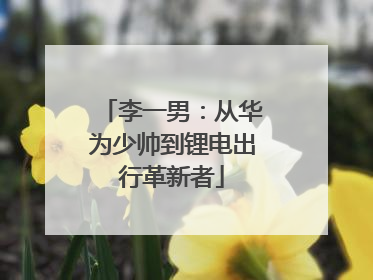 李一男：从华为少帅到锂电出行革新者