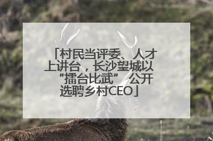 村民当评委、人才上讲台，长沙望城以“擂台比武” 公开选聘乡村CEO