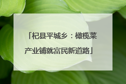 杞县平城乡：橄榄菜产业铺就富民新道路