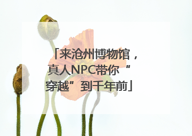 来沧州博物馆，真人NPC带你“穿越”到千年前