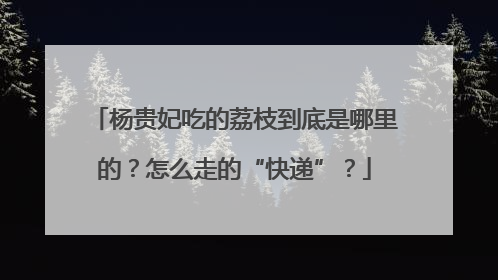 杨贵妃吃的荔枝到底是哪里的？怎么走的“快递”？