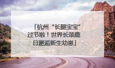 杭州“长腿宝宝”过节啦！世界长颈鹿日邂逅新生幼崽