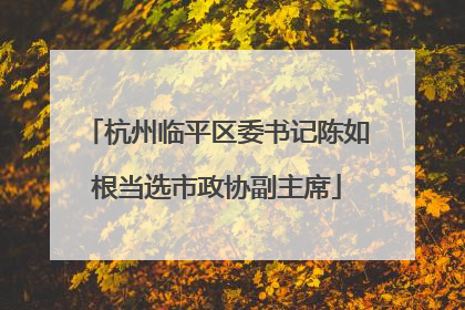 杭州临平区委书记陈如根当选市政协副主席
