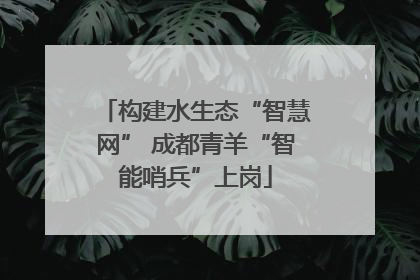 构建水生态“智慧网” 成都青羊“智能哨兵”上岗
