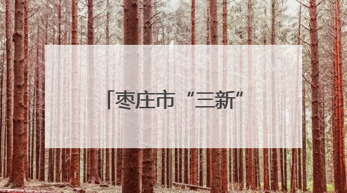 枣庄市“三新”领域妇联组织领头雁素质能力提升培训班开班