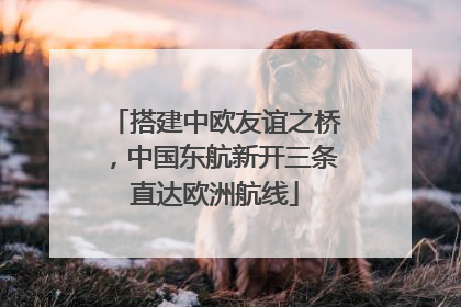 搭建中欧友谊之桥，中国东航新开三条直达欧洲航线