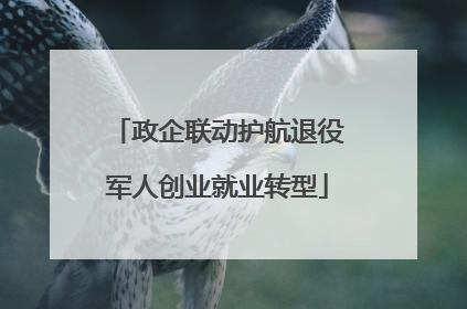 政企联动护航退役军人创业就业转型