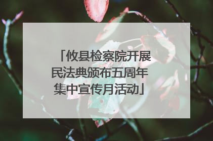 攸县检察院开展民法典颁布五周年集中宣传月活动