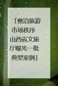 整治旅游市场秩序 山西省文旅厅曝光一批典型案例