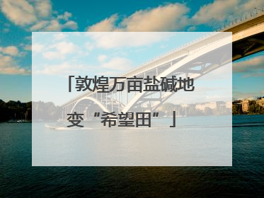 敦煌万亩盐碱地变“希望田”