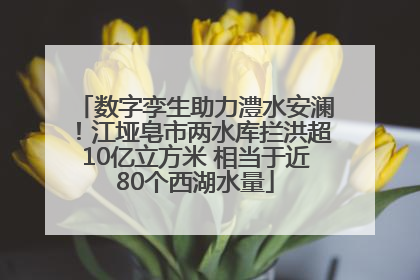 数字孪生助力澧水安澜！江垭皂市两水库拦洪超10亿立方米 相当于近80个西湖水量