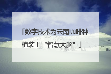 数字技术为云南咖啡种植装上“智慧大脑”