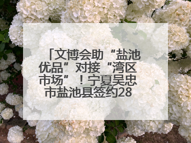 文博会助“盐池优品”对接“湾区市场”！宁夏吴忠市盐池县签约28.44亿元