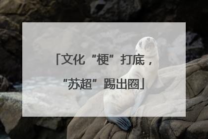 文化“梗”打底，“苏超”踢出圈