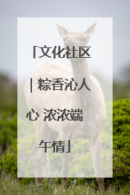 文化社区｜粽香沁人心 浓浓端午情