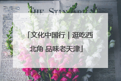 文化中国行｜逛吃西北角 品味老天津
