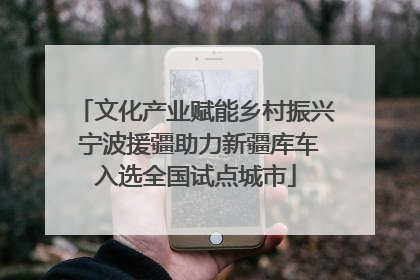 文化产业赋能乡村振兴 宁波援疆助力新疆库车入选全国试点城市