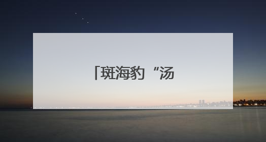 斑海豹“汤圆”归海记