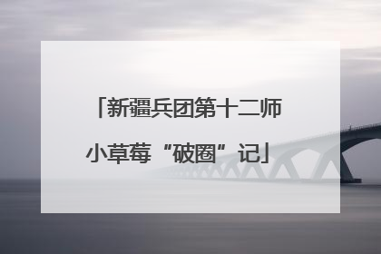 新疆兵团第十二师小草莓“破圈”记