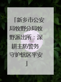 新乡市公安局牧野分局牧野派出所：深耕主防警务 守护辖区平安
