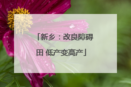 新乡：改良障碍田 低产变高产