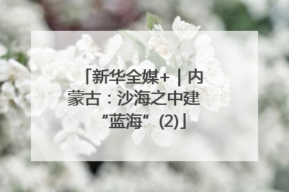 新华全媒+｜内蒙古：沙海之中建“蓝海”(2)