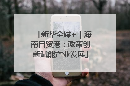 新华全媒+｜海南自贸港：政策创新赋能产业发展