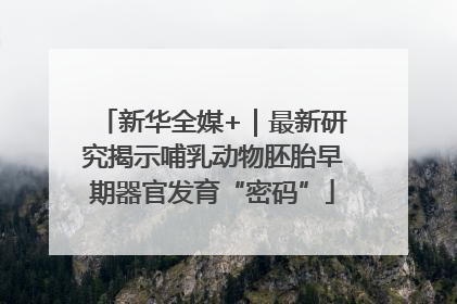 新华全媒+｜最新研究揭示哺乳动物胚胎早期器官发育“密码”