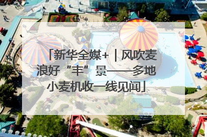 新华全媒+｜风吹麦浪好“丰”景——多地小麦机收一线见闻