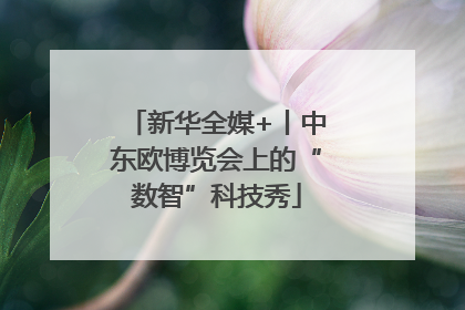新华全媒+丨中东欧博览会上的“数智”科技秀