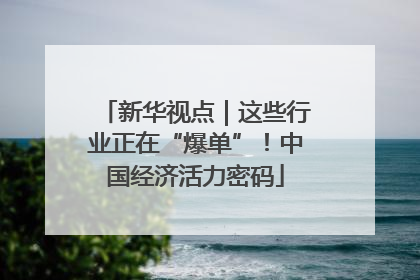 新华视点｜这些行业正在“爆单”！中国经济活力密码