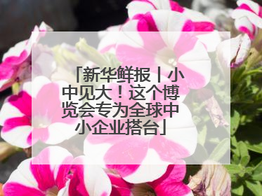 新华鲜报丨小中见大！这个博览会专为全球中小企业搭台