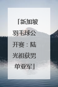 新加坡羽毛球公开赛：陆光祖获男单亚军