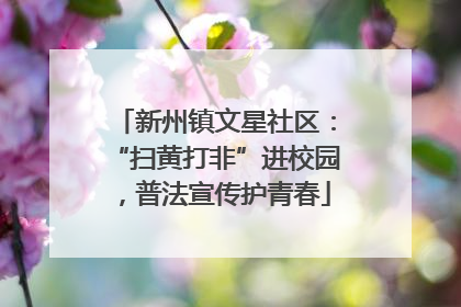 新州镇文星社区：“扫黄打非”进校园，普法宣传护青春