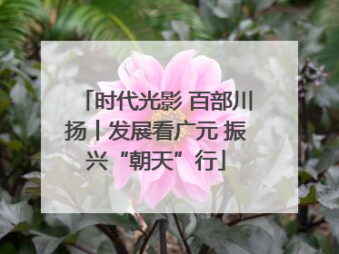 时代光影 百部川扬丨发展看广元 振兴“朝天”行